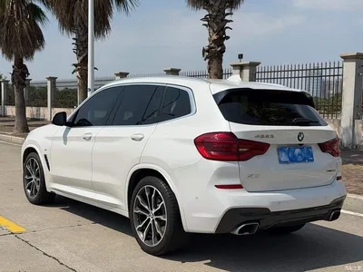 2020 BMW X3 xDrive30i Leading M Sport Package, фото 4, лот 11137513