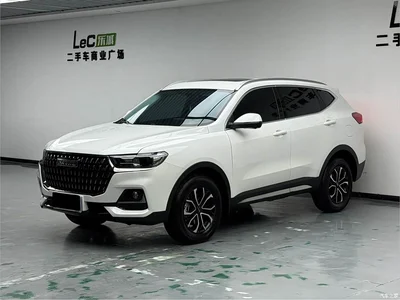 2025 Haval H6 1.5T National Trend Champion Edition, фото 1, лот 10416672
