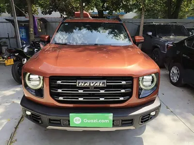 2021 Haval Big Dog 1.5T DCT 2WD Border Collie Edition, фото 3, лот 10361498