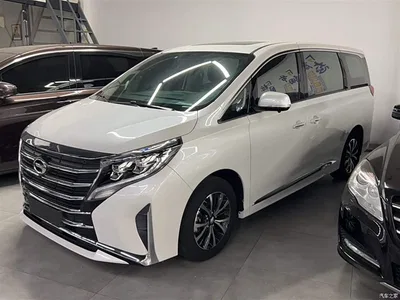 2023 GAC Trumpchi Trumpchi M8 Leading Series 390T Luxury Edition, фото 2, лот 10424997