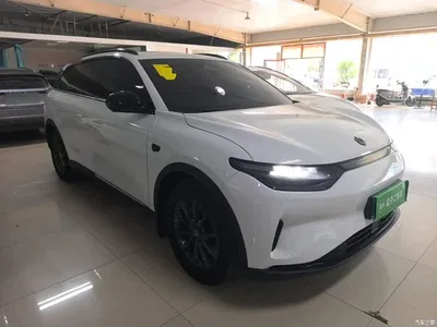 2023 Leapmotor C11 Pure Electric 500 Comfort Edition, фото 4, лот 10441665
