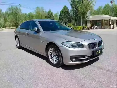 2014 BMW 5 Series 525Li Leading, фото 3, лот 11133112