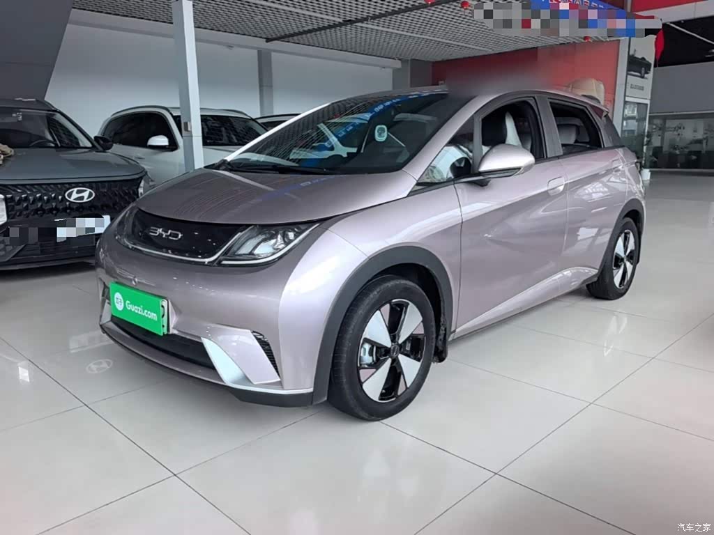 2023 BYD Dolphin 420km Freedom Edition, фото 2, лот 11218592