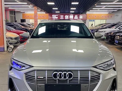 2021 Audi e-tron 50 quattro Exclusive Selection, фото 2, лот 11096216