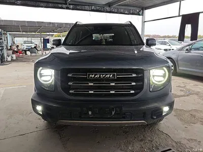 2021 Haval Big Dog 1.5T DCT 2WD Border Collie - Wangcai Edition, фото 3, лот 10898810