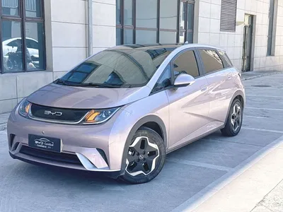2021 BYD Dolphin Model 405km Fashion Edition, фото 1, лот 10248412