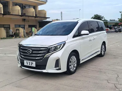 2020 GAC Trumpchi Trumpchi M8 Pilot 390T Premium Edition, фото 1, лот 10888995