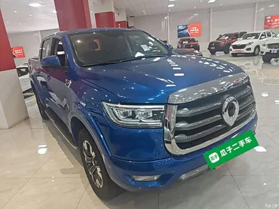 2021 Great Wall Pao 2.0T Passenger Global Edition Automatic Diesel 2WD Comfort Standard Box GW4D20M, фото 4, лот 10246322