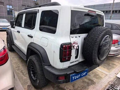 2021 Tank 300 Off-road Version 2.0T Conqueror, фото 4, лот 10451066