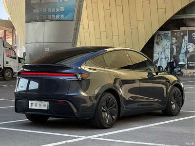 2025 Tesla Model Y Rear-Wheel Drive, фото 4, лот 10442188