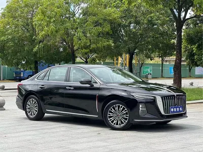 2025 Hongqi H5 1.5T DCT Flag Rhythm 500,000 Units Memorial Edition, фото 3, лот 10287855