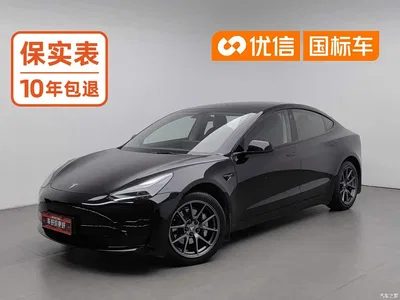 2021 Tesla Model 3 Facelift Standard Range RWD Upgrade 3D1, фото 1, лот 11222835