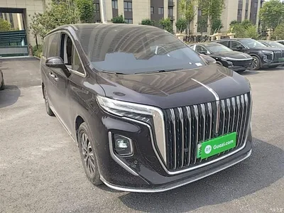 2024 Hongqi HQ9 PHEV Model 2.0T AWD Business Edition, фото 4, лот 10289988