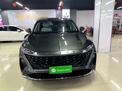 2023 Roewe RX9 2.0T 4WD Premium Edition, фото 3, лот 10340843