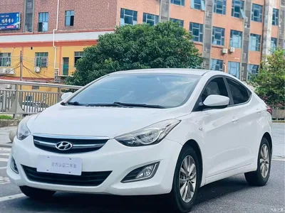 2015 Hyundai Langdong 1.6L Auto Trend, фото 1, лот 10832043
