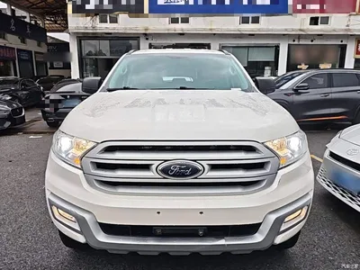 2017 Ford Everest 2.0T Gasoline Automatic 4WD Elite Edition 5-Seater, фото 3, лот 10298655