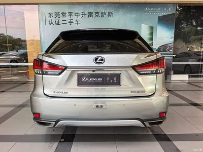 2020 Lexus RX 300 2WD Comfort Edition China VI, фото 3, лот 10763772