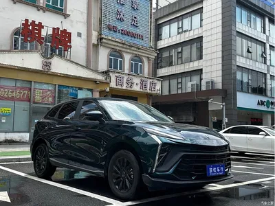 2024 Dongfeng Fengxing T5 EVO 1.5TD DCT Starry Sky Edition, фото 3, лот 11161031