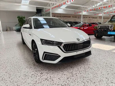 2022 Škoda Octavia PRO TSI280 Luxury Edition, фото 3, лот 10348340