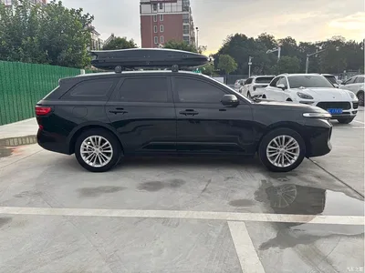 2021 Baojun Valli 1.5T Nagqu Starry Sky CVT Flagship Model, фото 4, лот 10406378