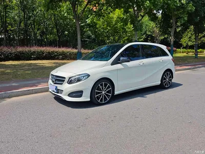 2015 Mercedes-Benz B-Class B 200 Luxury, фото 1, лот 10261829