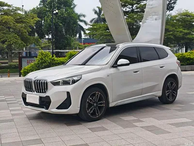 2023 BMW X1 sDrive25Li M Sport Package, фото 1, лот 11175258