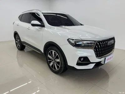 2023 Haval H6 National Trend Edition 1.5T Automatic Champion, фото 3, лот 10930995