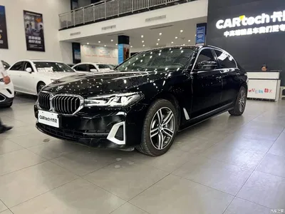 2022 BMW 5 Series Model Second Facelift 530Li Leading Luxury Package, фото 1, лот 11224701