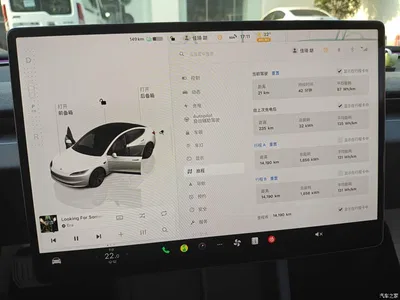 2023 Tesla Model 3 Rear-Wheel Drive, фото 3, лот 10481393
