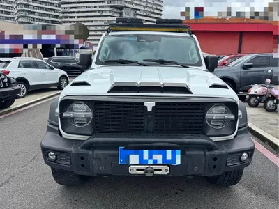 2021 Tank 300 Off-road Version 2.0T Conqueror, фото 2, лот 10344462