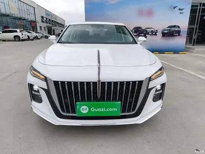 2023 Hongqi H5 1.5T DCT Smart Connect Flag Rhythm, фото 3, лот 10376259
