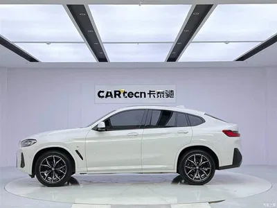 2022 BMW X4 xDrive 25i M Sport Package, фото 2, лот 10239014