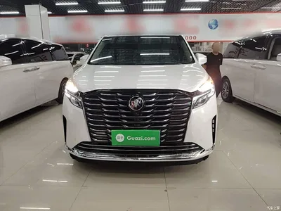 2023 Buick GL8 ES Landmaster Luxury, фото 3, лот 11195428