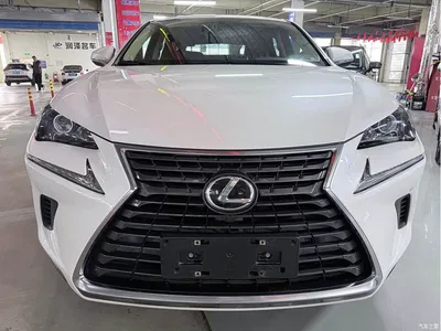 2020 Lexus NX 200 AWD F Sport China V, фото 2, лот 10314196