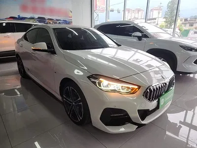 2021 BMW 2 Series (Import) 225i 4-Door Gran Coupe M Sport Package, фото 4, лот 10471431