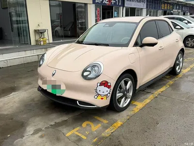 2023 Ora Good Cat 401km Standard Range Comfort LFP, фото 1, лот 11017774