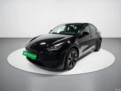 2023 Tesla Model Y Rear-Wheel Drive Edition, фото 1, лот 10671237