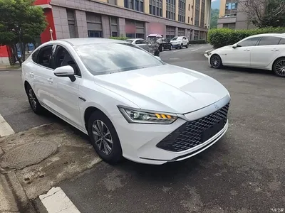 2023 BYD Qin PLUS Champion Edition DM-i 55KM Leading, фото 4, лот 10671363