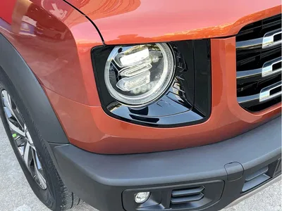 2021 Haval Big Dog 1.5T DCT 2WD Labrador Edition, фото 2, лот 10621628