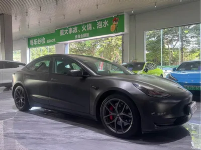 2022 Tesla Model 3 Performance High-Performance AWD, фото 1, лот 11133292