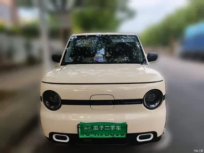 2025 Geely Galaxy Panda mini 210km Vitality Bear, фото 3, лот 11183674