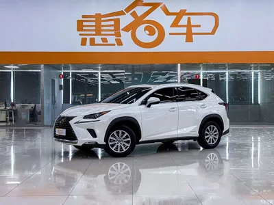 2020 Lexus NX 300h FWD F Sport China VI, фото 2, лот 10314487