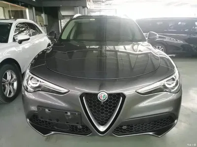 2017 Alfa Romeo Stelvio 2.0T 200HP Luxury Edition, фото 3, лот 10598399