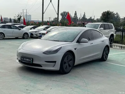 2022 Tesla Model 3 Model Rear-Wheel Drive Version, фото 1, лот 11191488