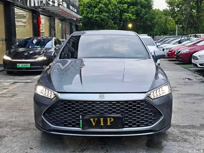 2024 BYD Qin PLUS Glory Edition DM-i 55KM Leading, фото 2, лот 10364221