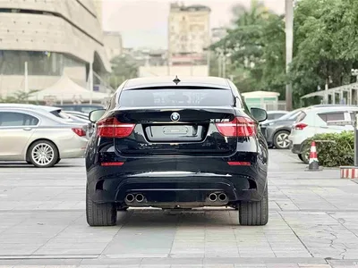 2010 BMW X6 M, фото 4, лот 10477185