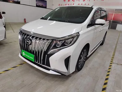 2021 GAC Trumpchi Trumpchi M8 Leading Show Series 390T Ultimate Edition, фото 1, лот 10426230