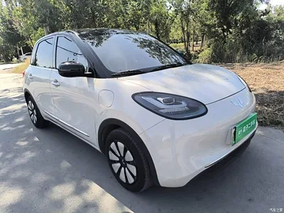 2024 Wuling Motors Wuling Bingo 333km Comfort Edition, фото 4, лот 11568594