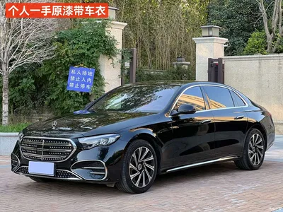 2025 Mercedes-Benz E-Class E 300 L Luxury, фото 1, лот 11591752