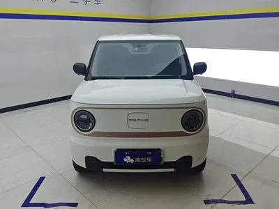 2024 Geely Galaxy Panda mini 200km Endurance Bear, фото 2, лот 10430368